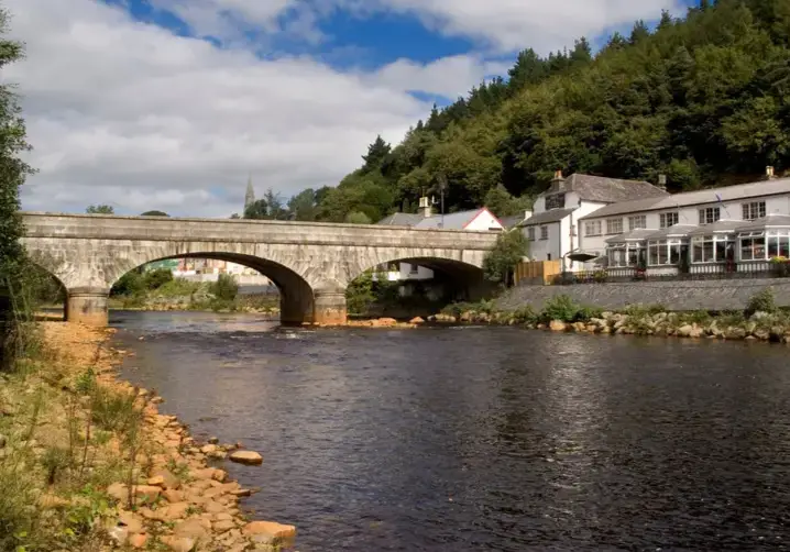 image of avoca